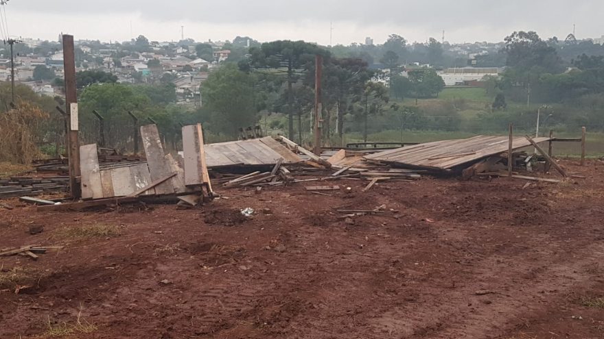 Famílias tem “barracos” derrubados após invasão de terreno no Cascavel Velho