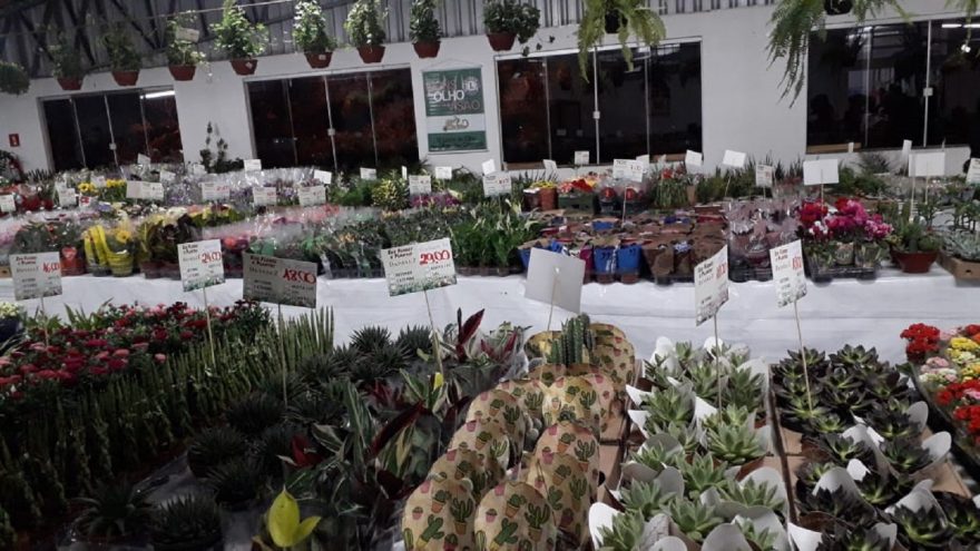 4ª Edição da Expoverde é realizada em Cascavel