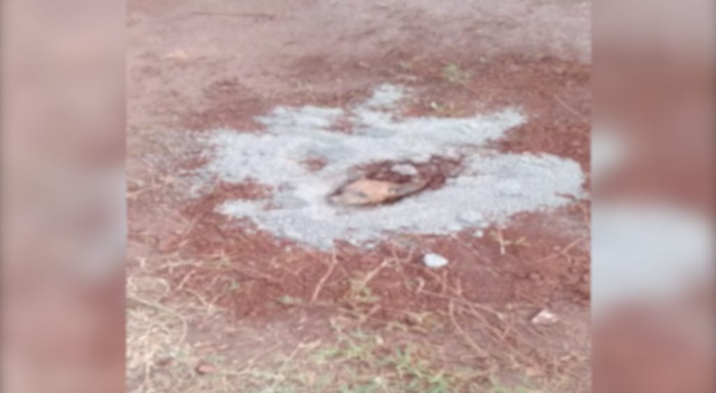 Crueldade: cachorrinho é enterrado vivo na Av. Piquiri segundo internauta