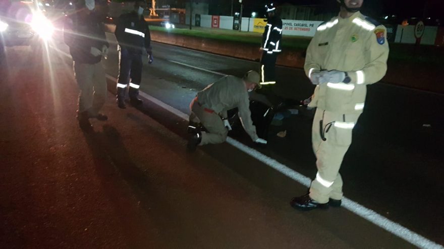 Mais uma vítima morre atropelada na rodovia BR-277, na Região do Santos Dumont