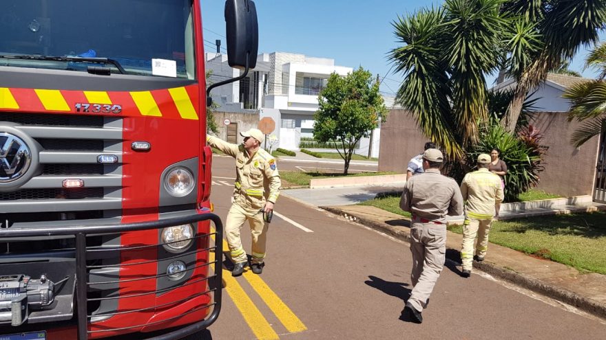 Corpo de Bombeiros é mobilizado para resgatar cachorrinho que ficou preso em motor de veículo