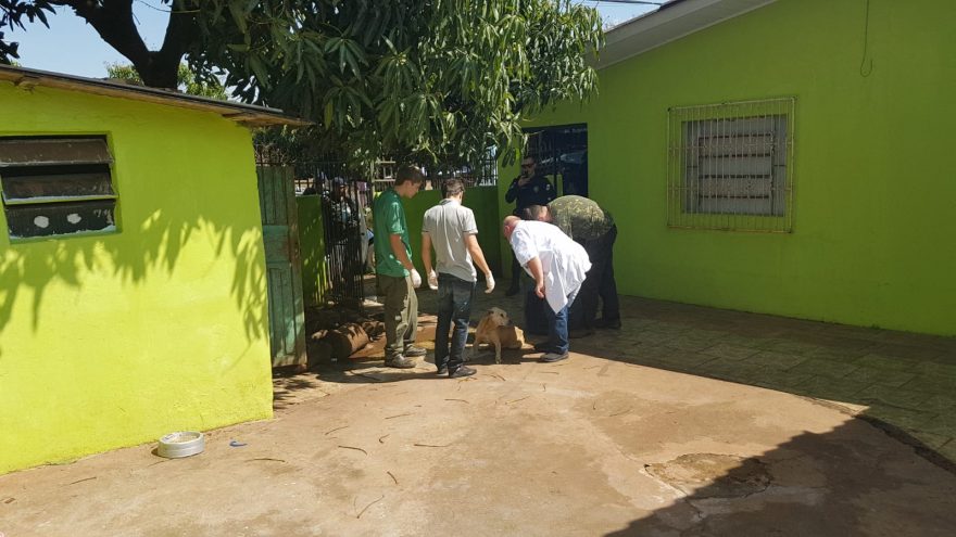 Revoltante! Guarda Municipal acompanha caso de maus tratos a um cachorro no Bairro Floresta
