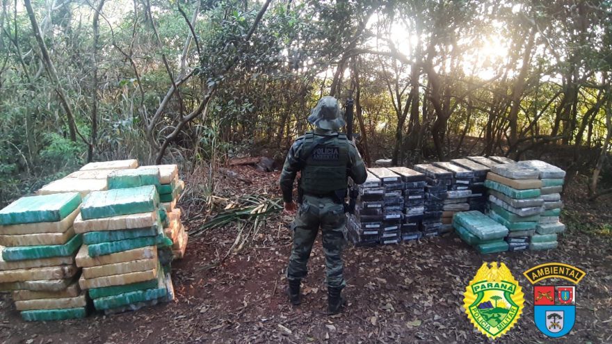 Operação Hórus: Batalhão de Polícia Ambiental apreende 5 toneladas de maconha em Icaraíma