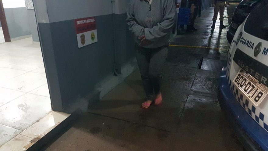 Mulher em posse de pés de maconha é detida pela Rotam