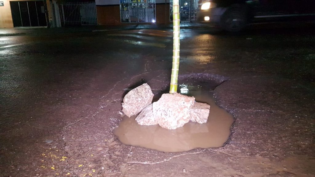 Moradores do Parque São Paulo sinalizam buraco na via com palmeira