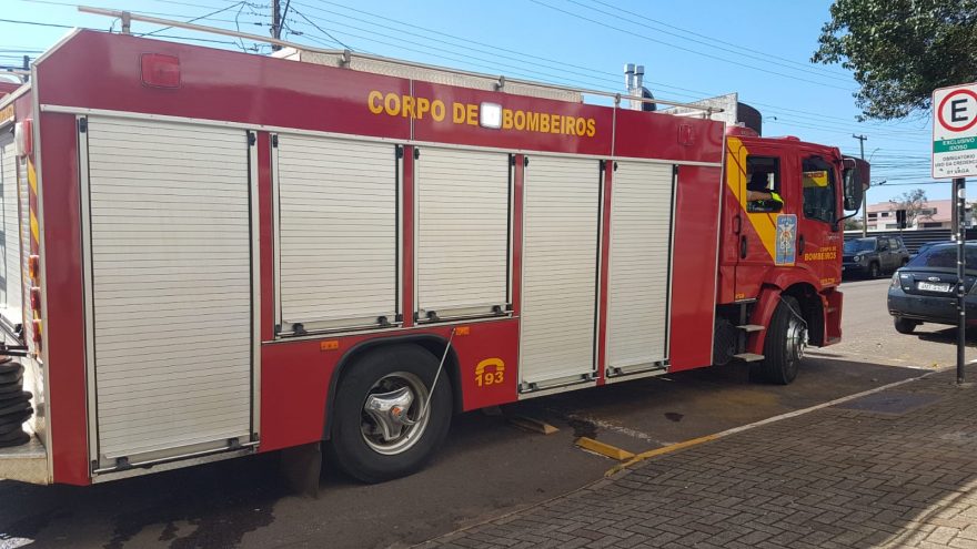 Gambá é capturado pelo Corpo de Bombeiros no Centro
