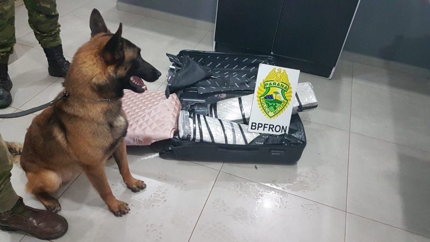 Homem em posse de dois tabletes de maconha é detido pelo BPFron