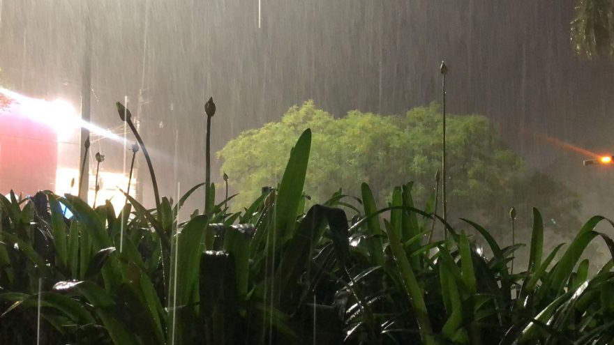 Forte tempestade com ventos e raios atingem Cascavel