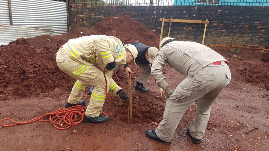 Bombeiros são acionados para resgatar cachorro que caiu em buraco