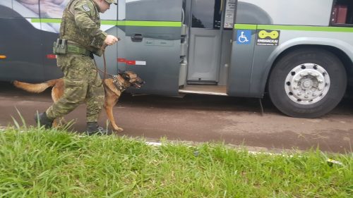 BPFRON realiza abordagens no Trevo da Portal na BR-277 com o objetivo de conter o tráfico e contrabando Imagem referente a BPFRON realiza abordagens no Trevo da Portal na BR-277 com o objetivo de conter o tráfico e contrabando