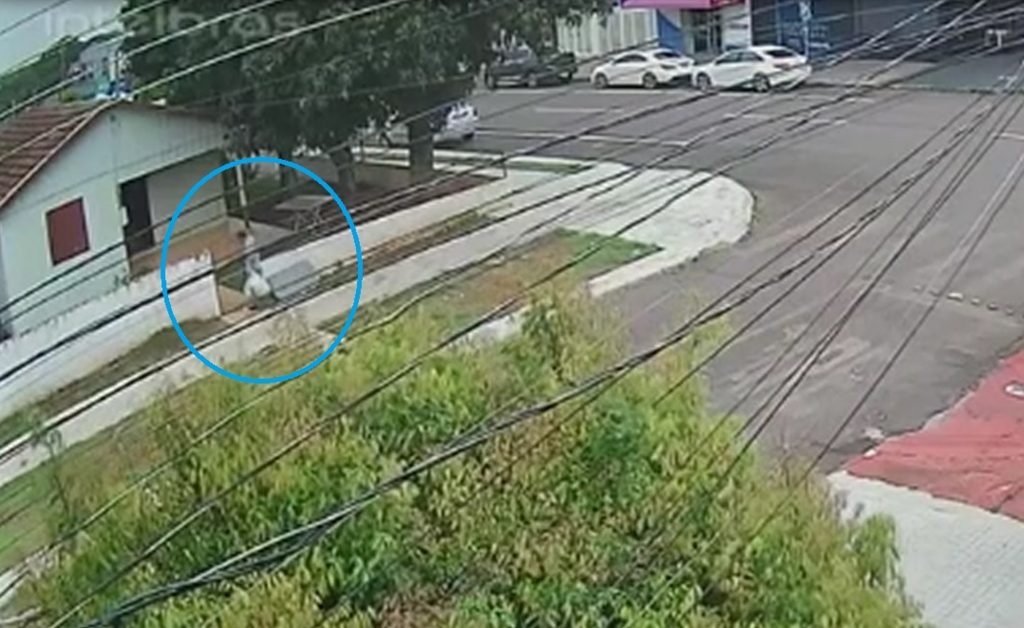 Câmera flagra homem levando produtos de residência no Alto Alegre