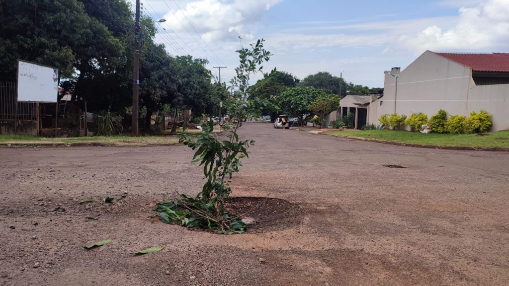 Buraco é sinalizado com árvore na Rua Altemar Dutra