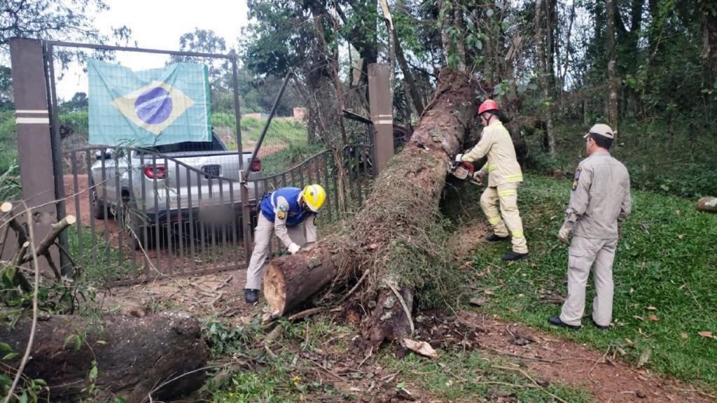 Árvore cai e impede entrada de veículos em residência no Bairro Lago Azul