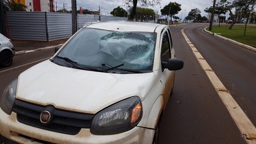 Homem em surto se joga em cima de carros que trafegavam pela Av. Brasil