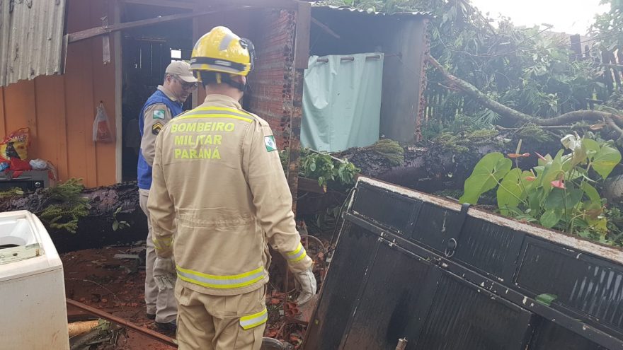 Pinheiros caem sobre residências no Jardim Melissa; Bombeiros realizam o corte e remoção das árvores