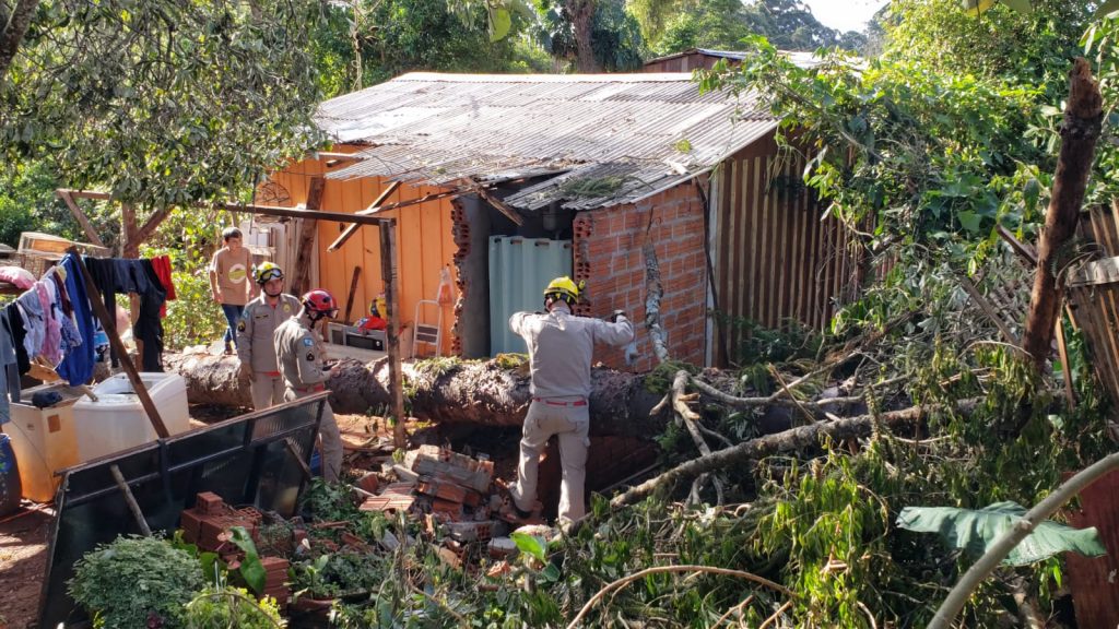 Corpo de Bombeiros realiza poda de árvore no Melissa