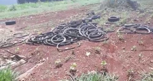 Moradores do Conjunto São Francisco estão revoltados com descarte irregular de pneus Imagem referente a Moradores do Conjunto São Francisco estão revoltados com descarte irregular de pneus
