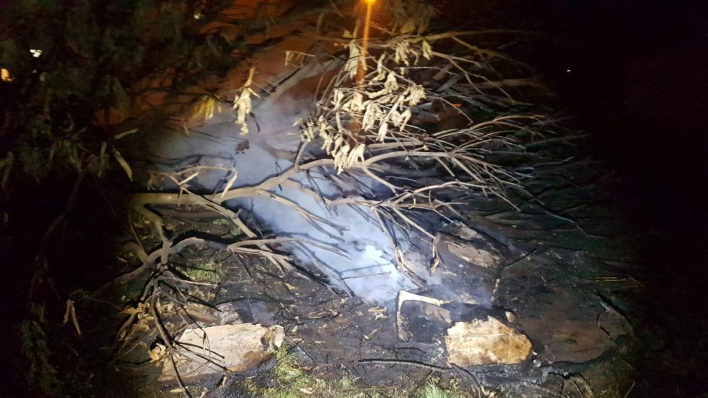 Bombeiros combatem fogo ateado em árvore no Pioneiros Catarinenses