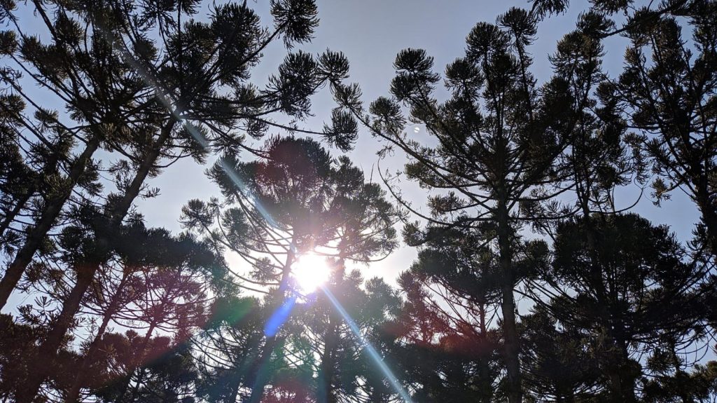 Quarta-feira deve ser marcada por temperaturas elevadas em Cascavel