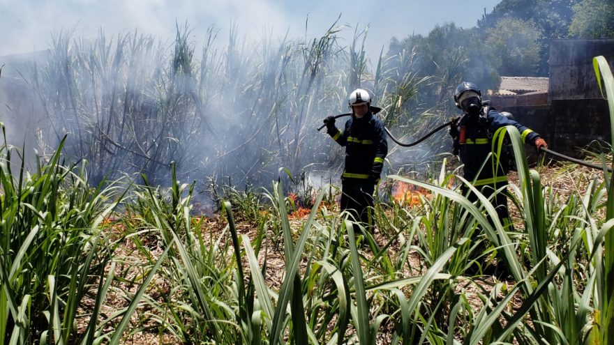 Equipes do Corpo de Bombeiros são acionadas para combaterem incêndio que se aproximava de residências