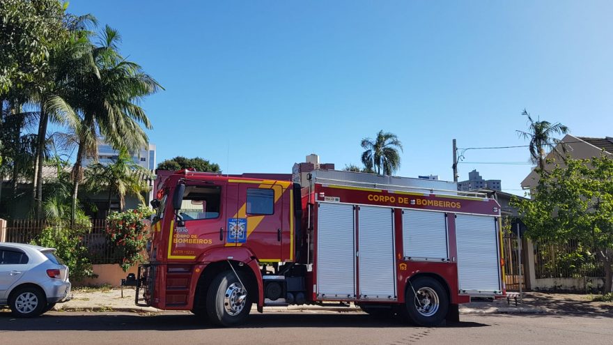 Moradora se assusta com suposta cobra e mobiliza Corpo de Bombeiros