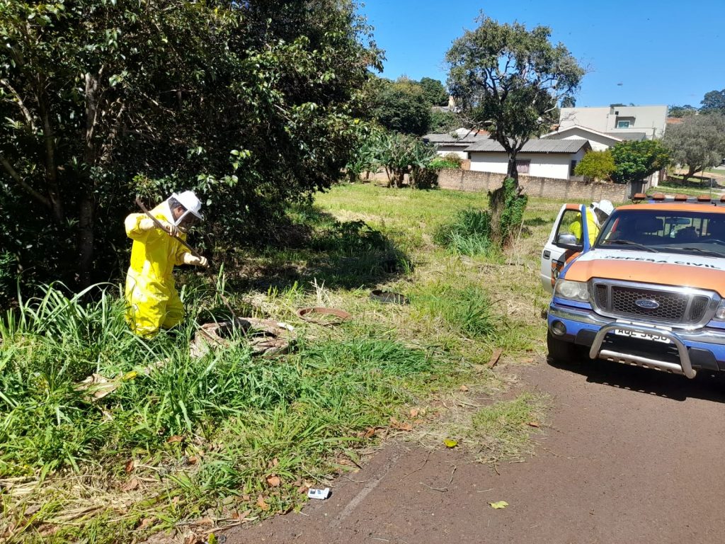 Defesa Civil remove abelhas de tubulação da Sanepar no Cancelli