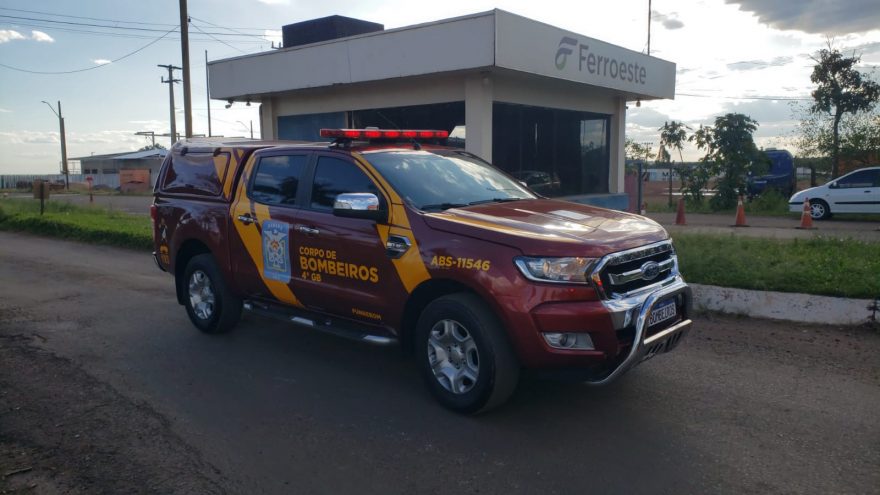 Sete pessoas precisam ser socorridas em ataque de abelhas às margens da BR-277