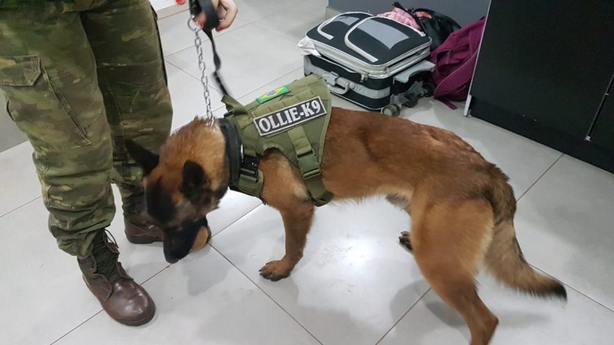 Mulher é detida pelo BPFron com drogas durante abordagem a ônibus