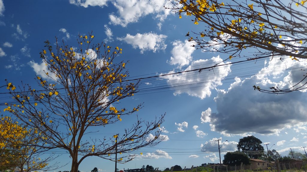 Semama começa com sol e máxima de 24ºC em Cascavel