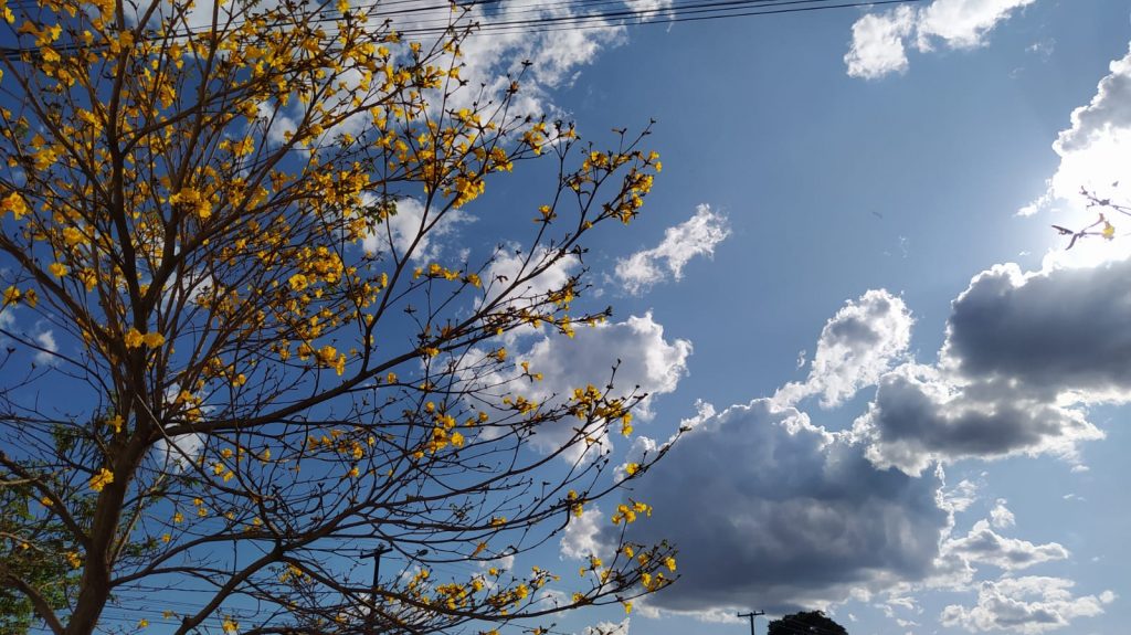 Quarta-feira deve registrar máxima de 27°C e sol entre nuvens em Cascavel