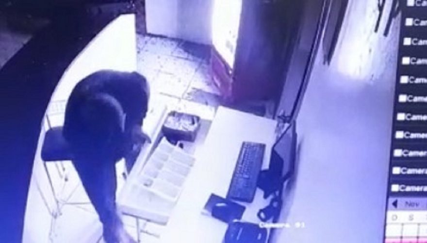Câmera registra ação de ladrão que furtou celular e Coca-Cola em Pizzaria