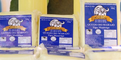 Queijo de búfala, tesouro da Ilha do Marajó, ganha mercado no país Imagem referente a Queijo de búfala, tesouro da Ilha do Marajó, ganha mercado no país