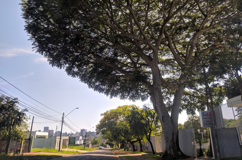 Clima continua estável e quente nesta quarta-feira em Cascavel