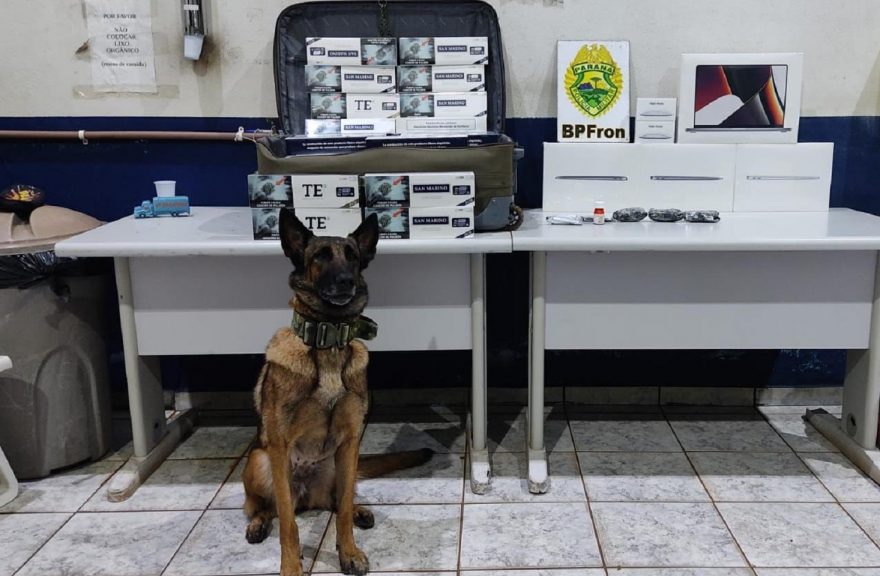 BPFRON apreende cigarros e medicamentos contrabandeados em Cascavel