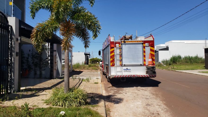 Urubu invade residência e Corpo de Bombeiros é mobilizado