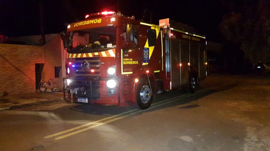 Mulher se assusta com porco espinho e Bombeiros são acionados