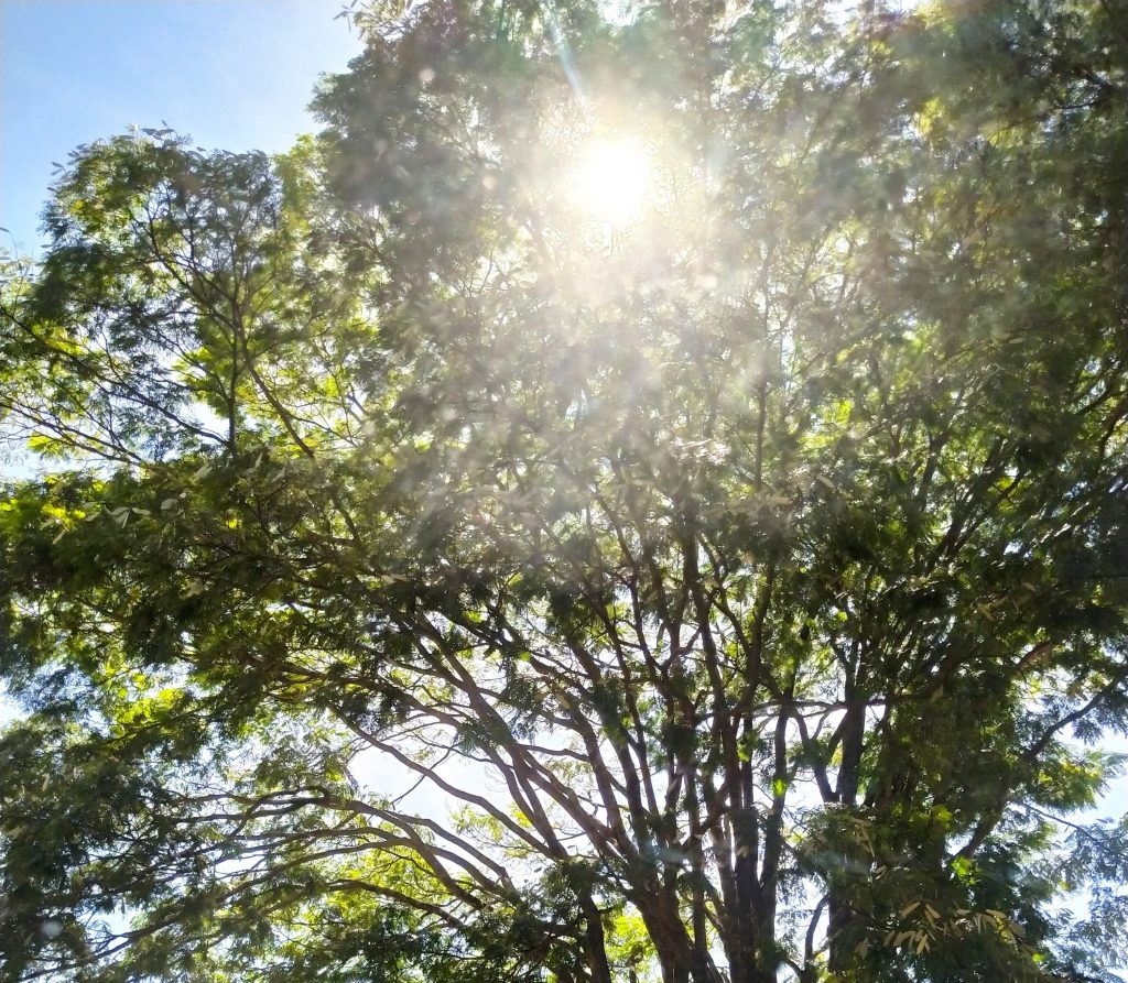 Sexta-feira será de sol e calor em Cascavel; sensação térmica passa dos 30°C