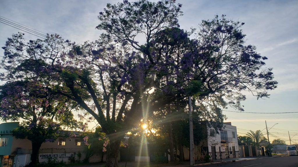 Domingão será mais um dia ensolarado e quente em Cascavel