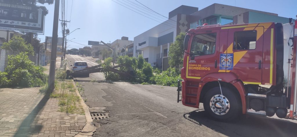 Árvore cai, bloqueia Rua Vitória e precisa ser removida pelos bombeiros