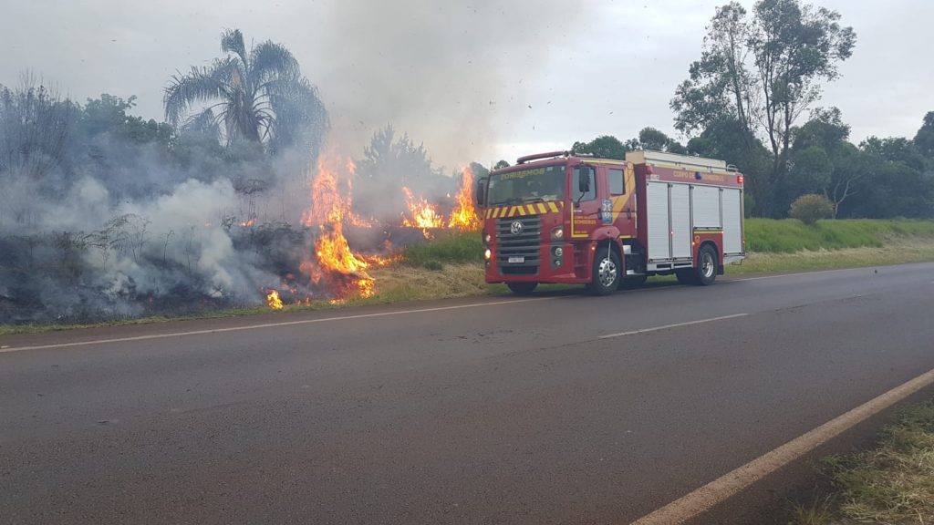 Grande incêndio atinge vegetação na BR-467