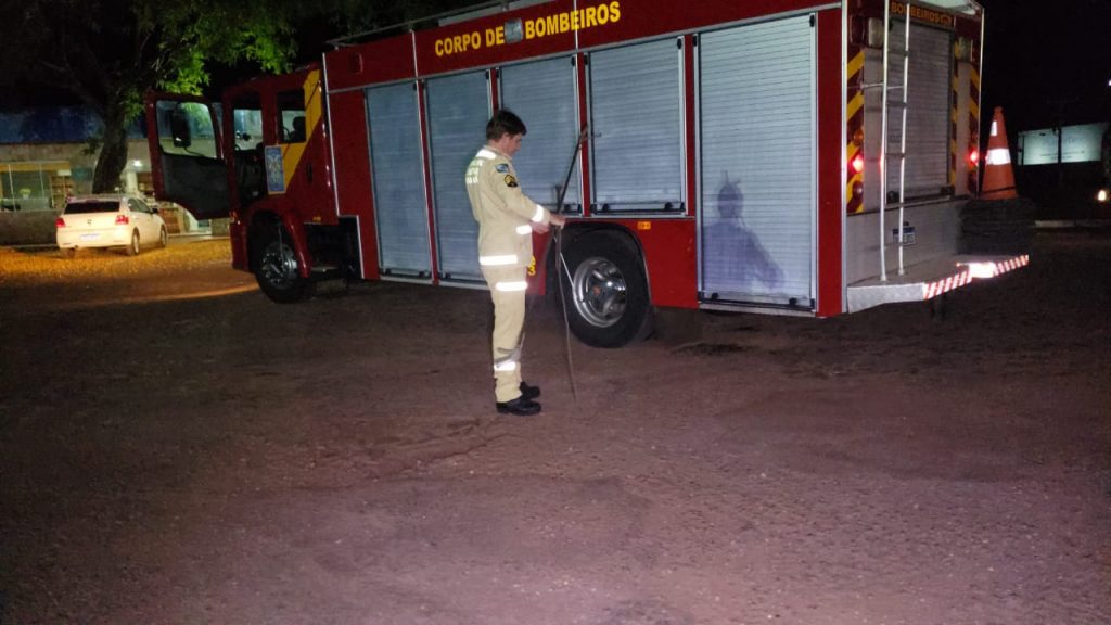 Bombeiros são chamados para capturar cachorro de grande porte que colocava pessoas em risco