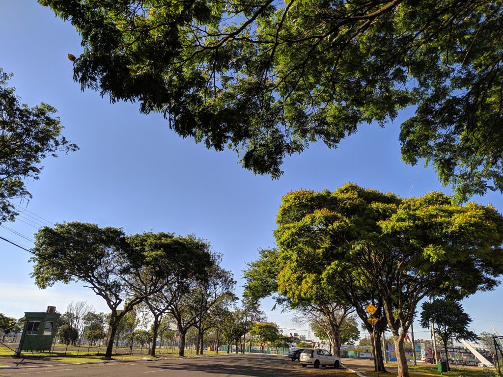 Quinta-feira será ensolarada com máxima de 28°C em Cascavel