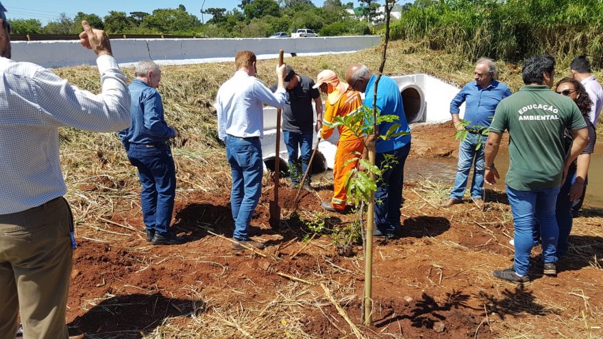 Árvores nativas são plantadas em comemoração ao ‘Dia do Rio’