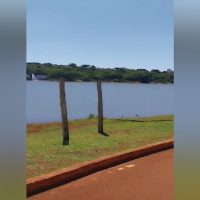 Imagem referente a Vídeo mostra momento exato em que homem se afoga no Lago Municipal