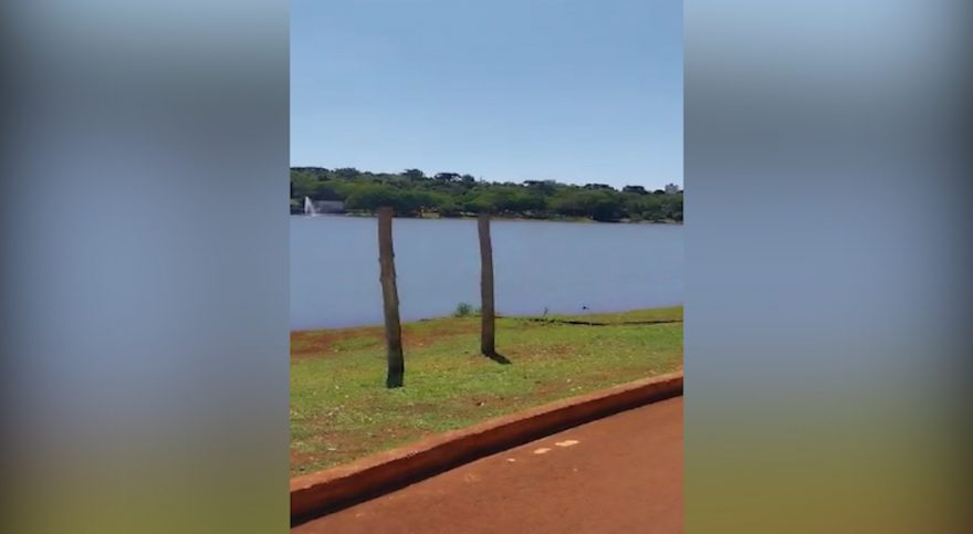 Vídeo mostra momento exato em que homem se afoga no Lago Municipal