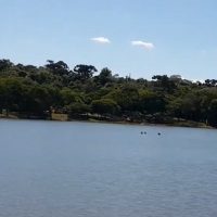 Imagem referente a Corpo da vítima de afogamento no Lago Municipal é encontrado