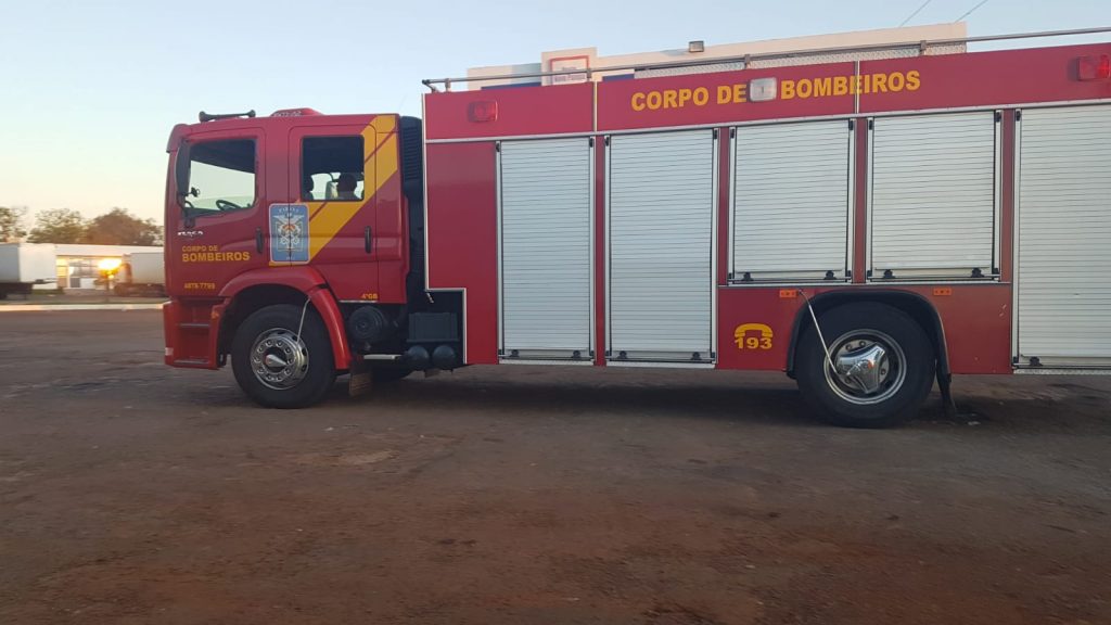 Bombeiros tentam resgatar cachorro com espinhos na boca