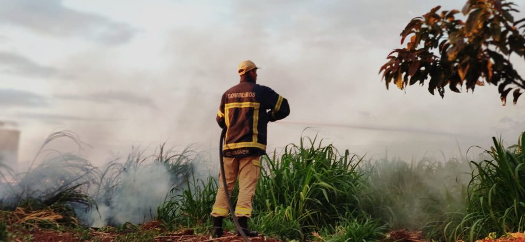Área de vegetação pega fogo às margens da BR-467 e fumaça prejudica visibilidade da rodovia Área de vegetação pega fogo às margens da BR-467 e fumaça prejudica visibilidade da rodovia