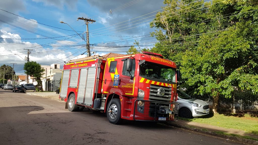 Gato que caiu em vão é socorrido pelo Corpo de Bombeiros