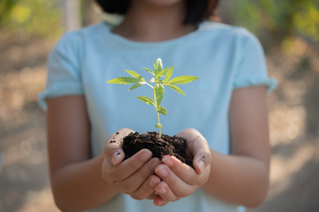 Aprovado programa que visa conscientização ambiental nas escolas em Cascavel